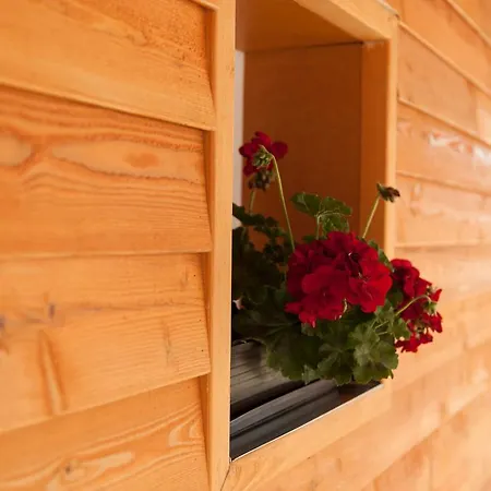 Pensiune Dorottya Vendeghaz Hódmezővásárhely