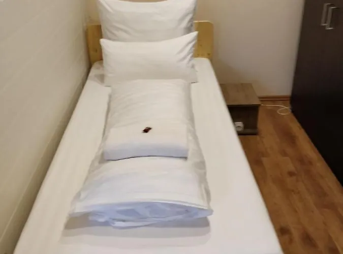 Dorottya 3* Hódmezővásárhely